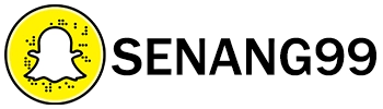 Logo Senang99